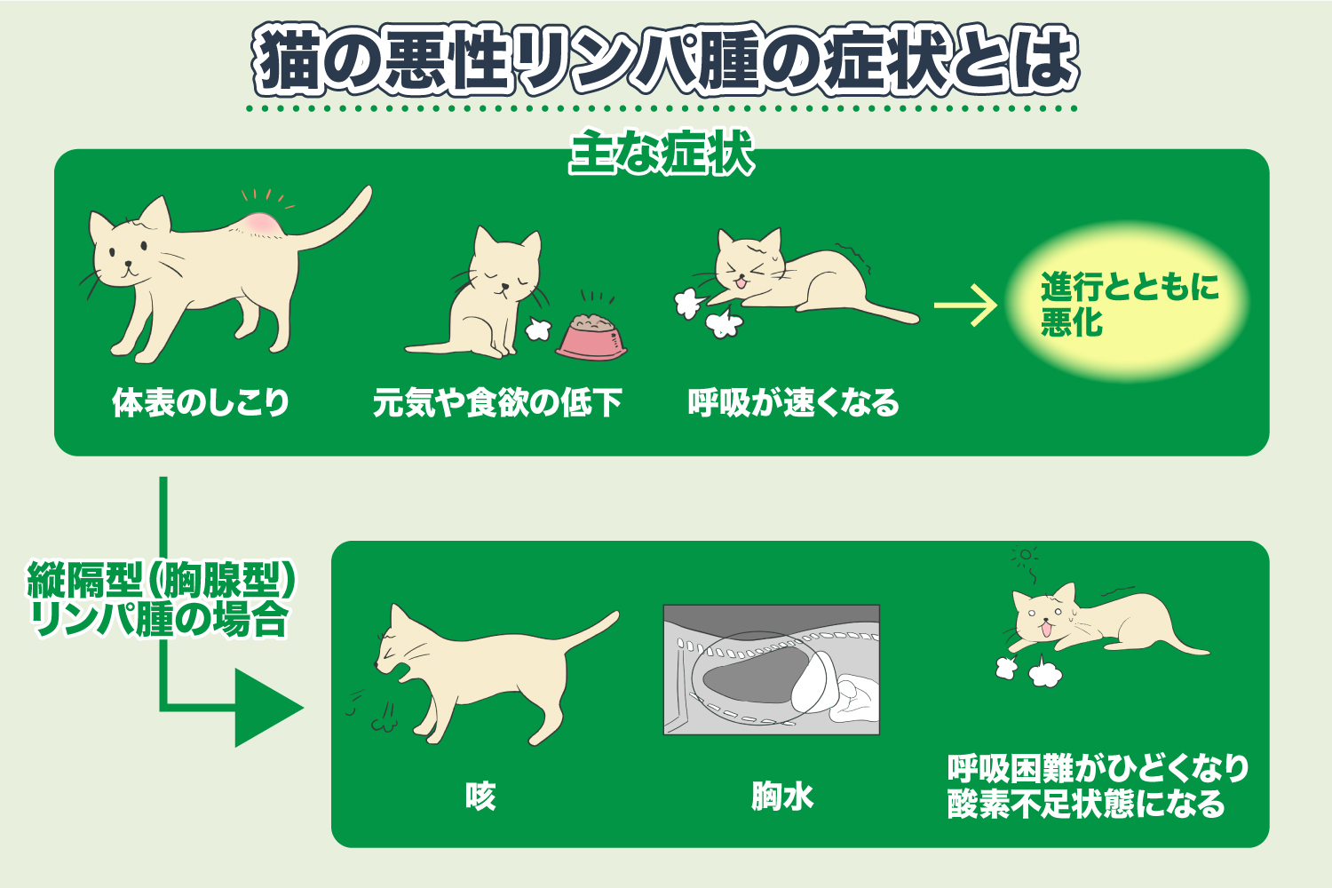 Symptoms of Lymphoma in Cats