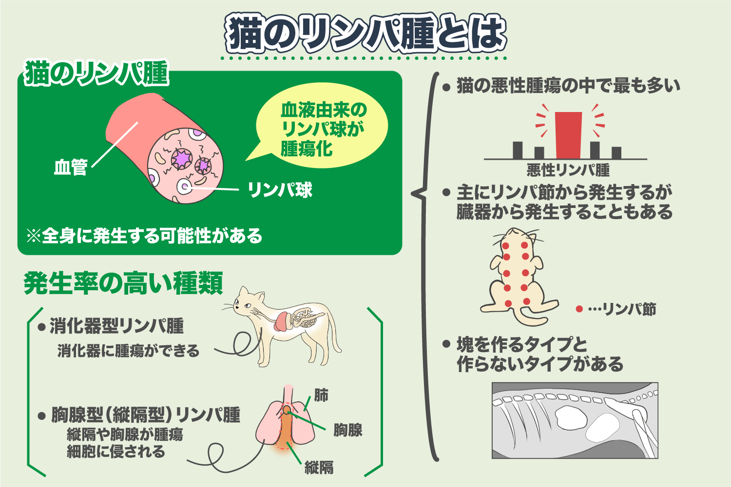 What is Feline Lymphoma?