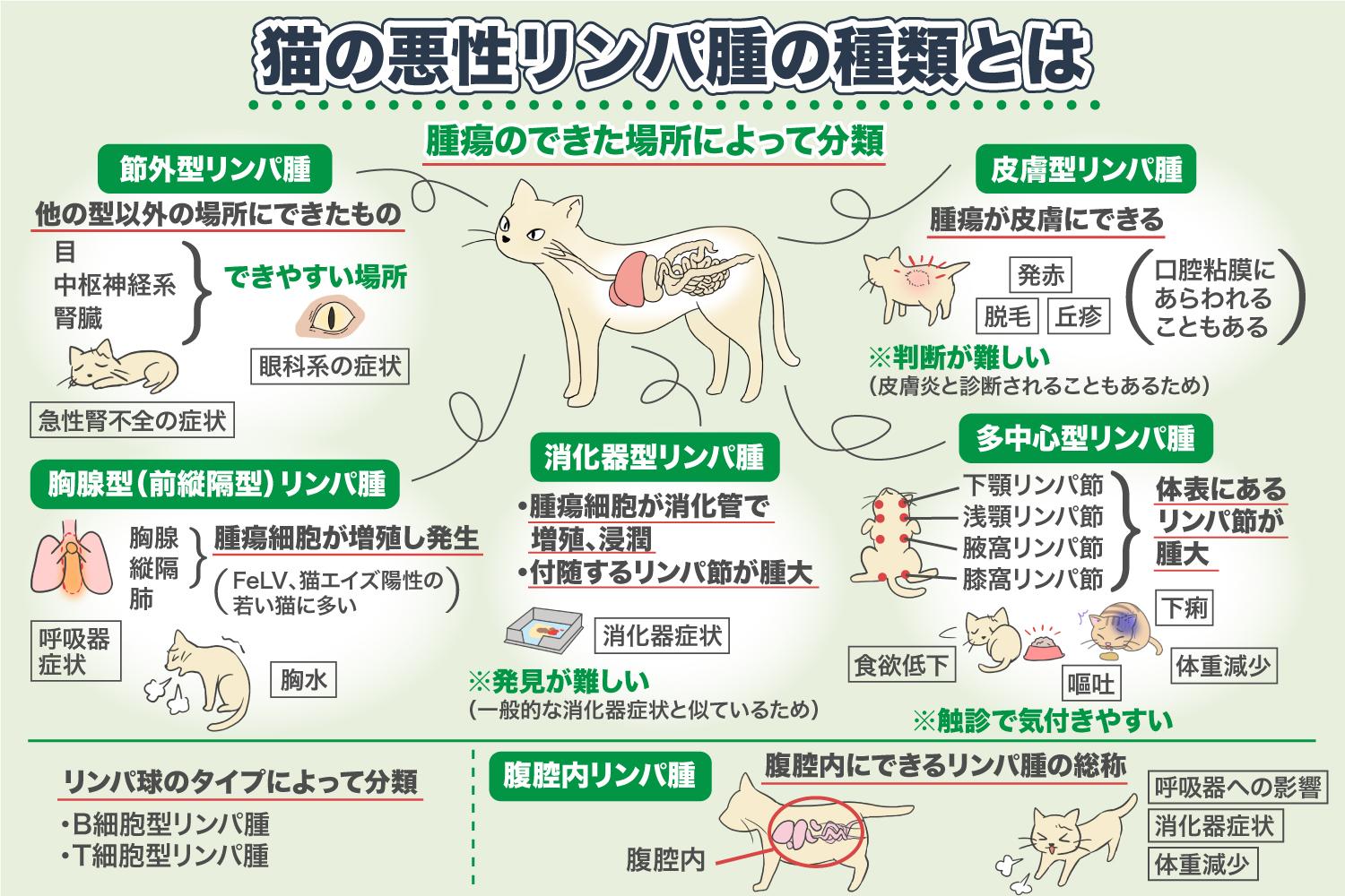 Types of Feline Malignant Lymphoma