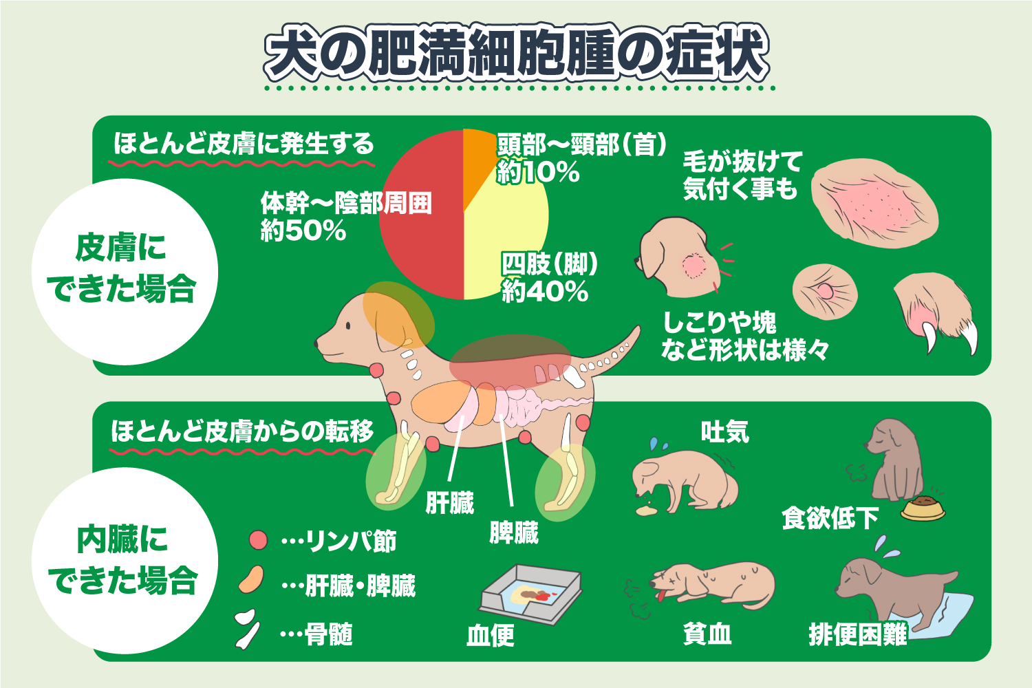 Typical melanoma treatment method for cats