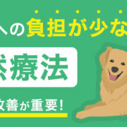 犬猫のがん基礎知識