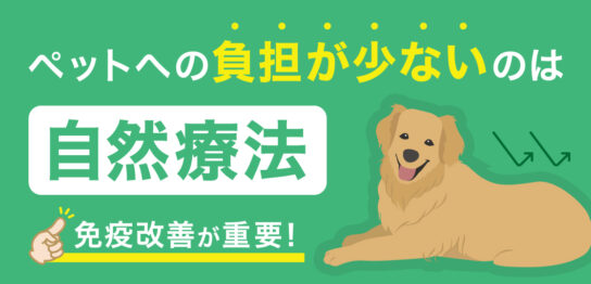 犬猫のがん基礎知識