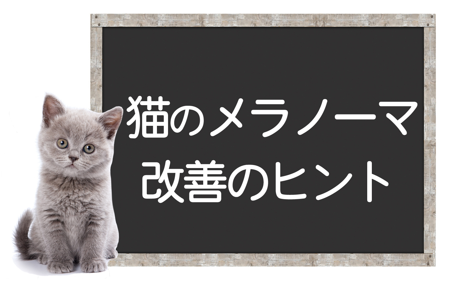 Sure, here’s the translation of the text:

“Melanoma and Skin Cancer in Cats: Causes, Symptoms, Treatment, and Tips for Improvement”イメージ