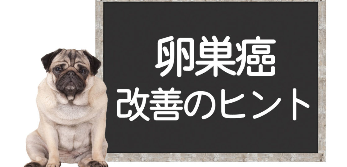 犬の卵巣癌改善方法