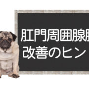 犬の肛門周囲腺腫の改善方法