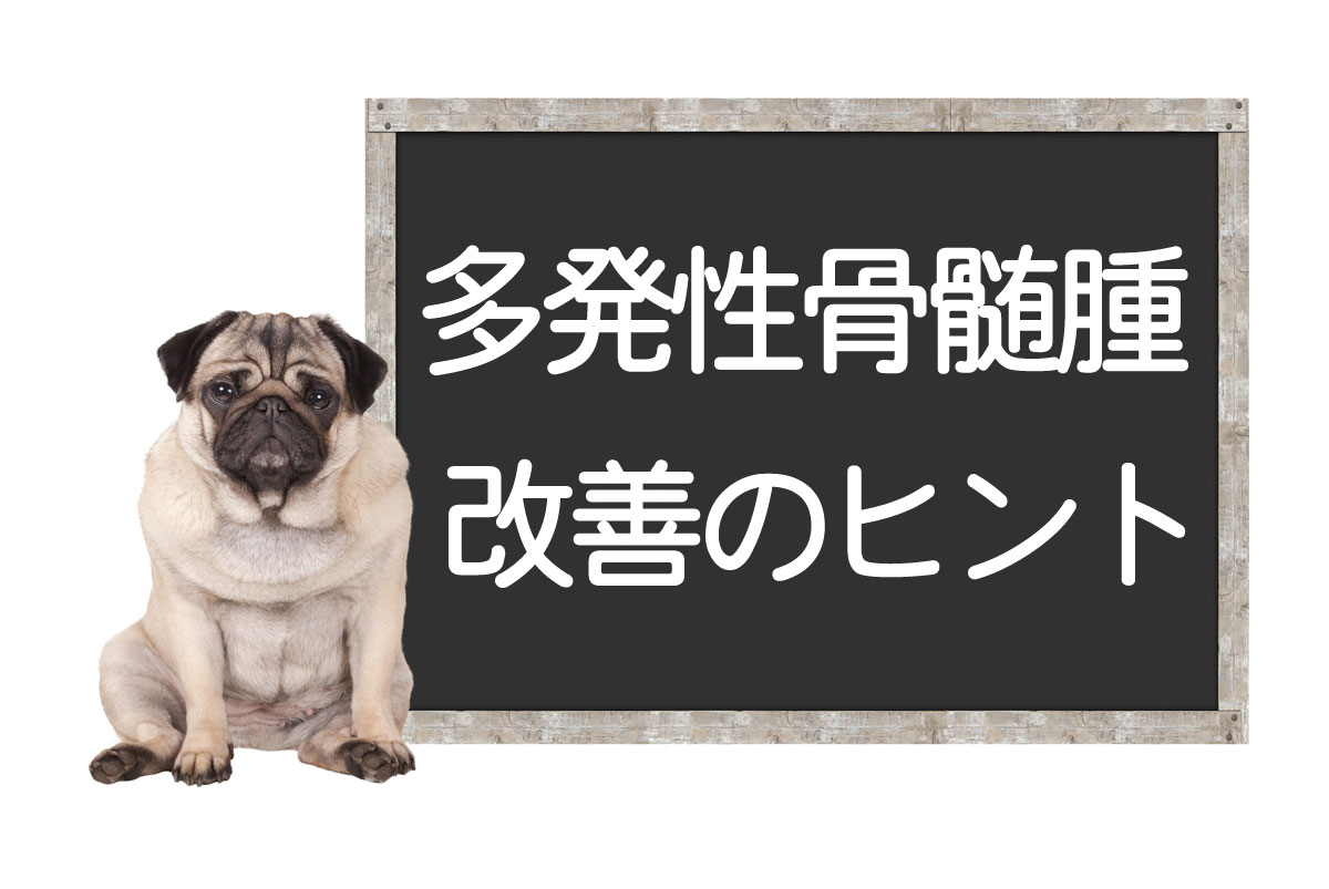 Multiple Myeloma in Dogs: Symptoms, Diagnostic Methods, Treatment Options including Chemotherapy, Tips for Improvement and Overcomingイメージ