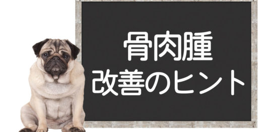 犬の骨肉腫の改善方法