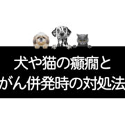 癲癇発作と癌併発時の対処法