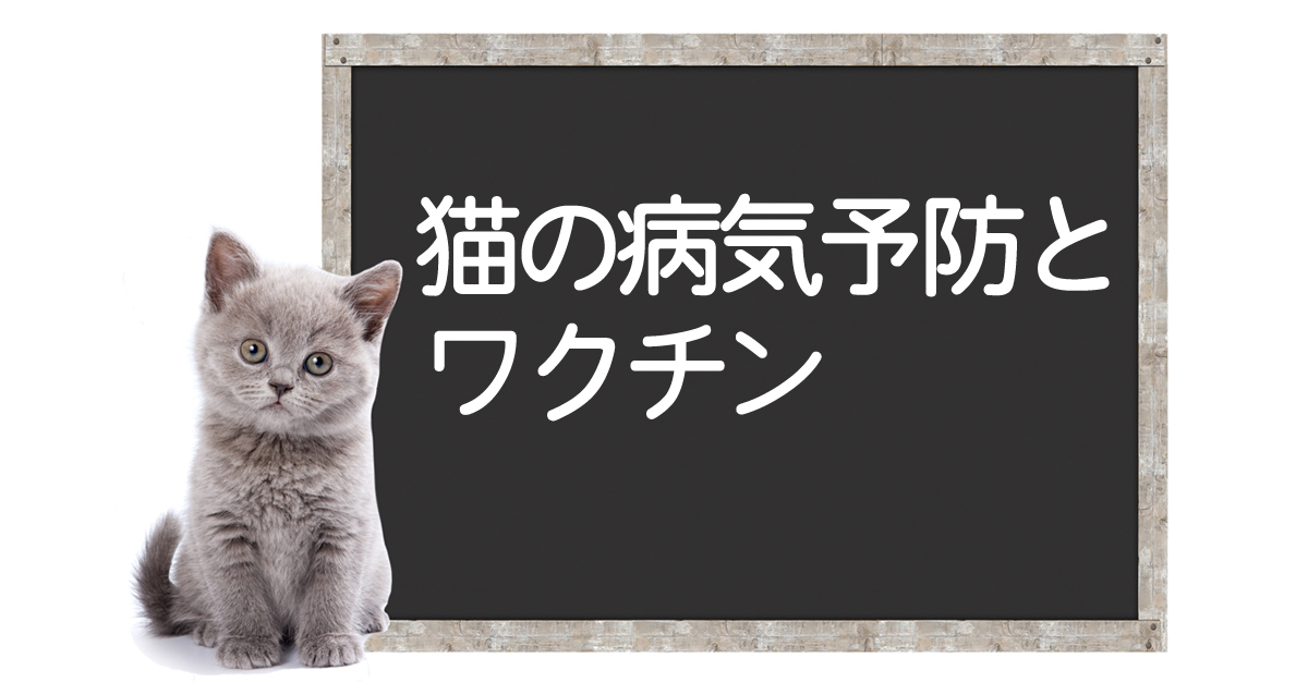 Diseases, Symptoms, and Treatments Preventable with Core Vaccines for Catsイメージ