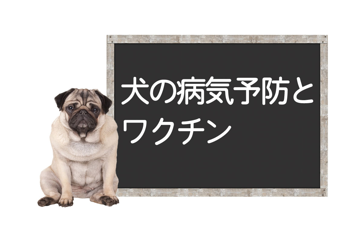 Diseases, Symptoms, and Treatments Preventable by Core Vaccines for Dogsイメージ