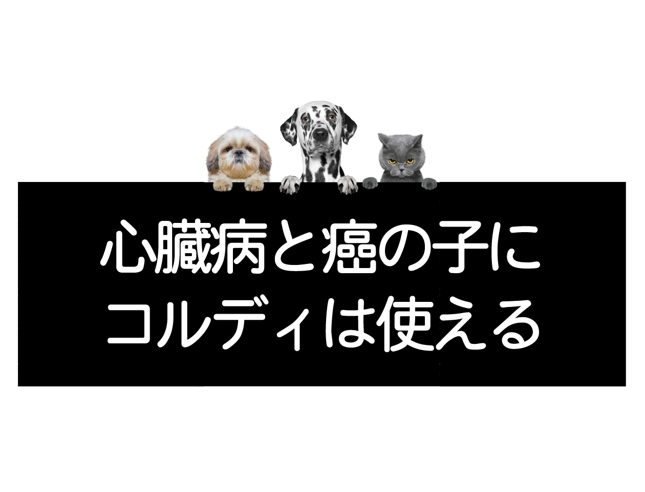 Approach for Managing Concurrent Malignant Tumors (Cancer) and Heart Disease <Consultation with the Laboratory>イメージ