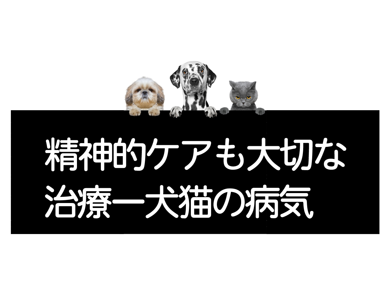 Care for the Mental Well-being of Dogs and Cats is Also Part of Treatment – Measures Against Illnesses in Dogs and Catsイメージ