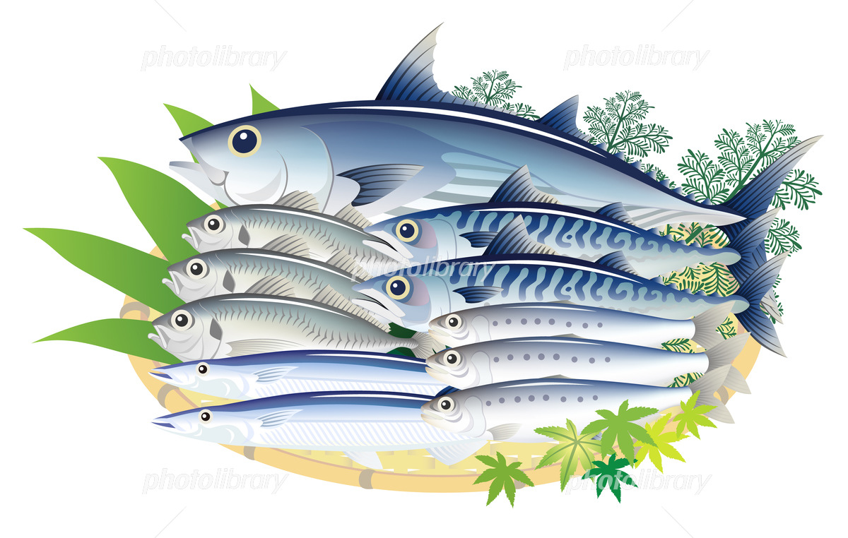 Expected Effects of Omega-3 (EPA/DHA) Fatty Acidsイメージ