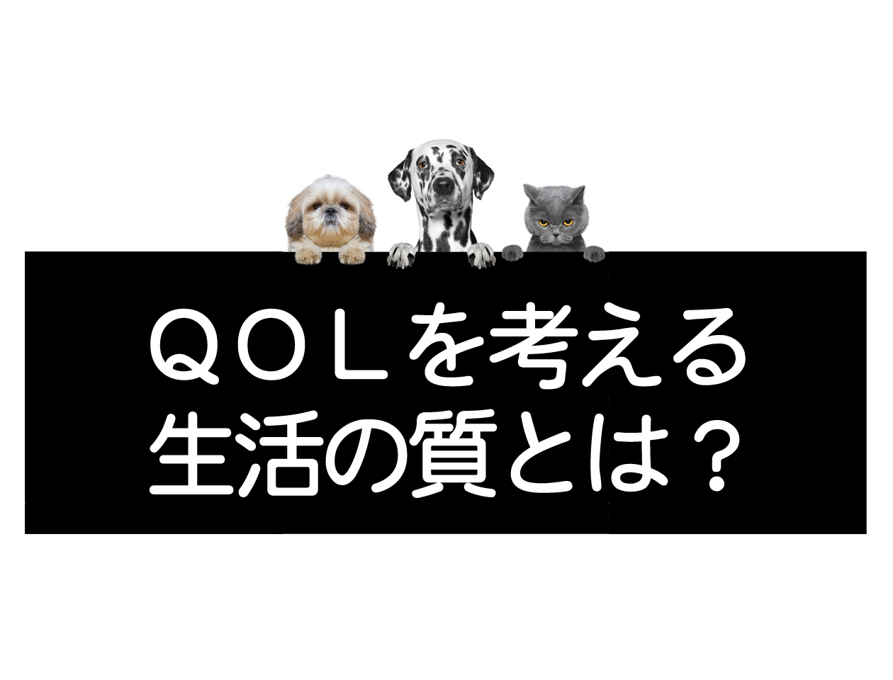 Quality of Life (QOL) for Dogs, Cats, and Other Petsイメージ