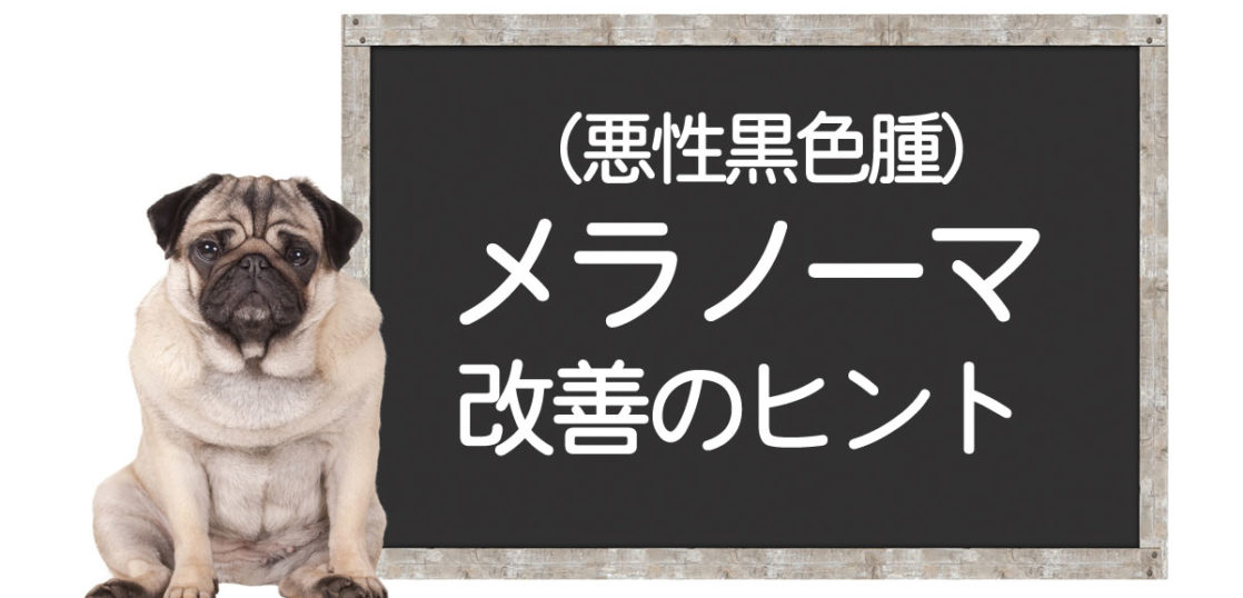 犬のメラノーマ