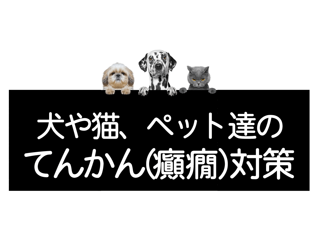 Here is the translation of the text:

Epilepsy in Dogs and Cats

Feel free to ask if you need a more detailed translation or additional information on the topic!イメージ