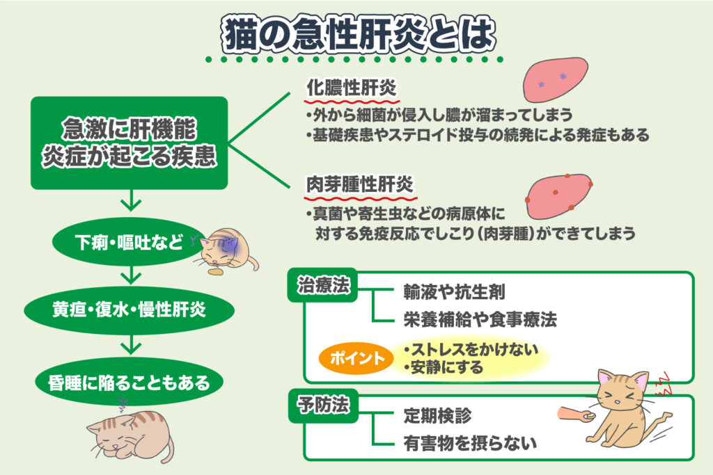 Acute Hepatitis