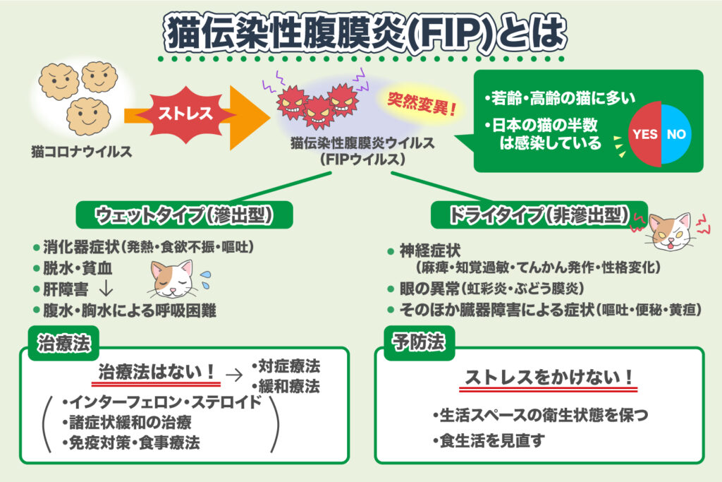 Feline Infectious Peritonitis (FIP)