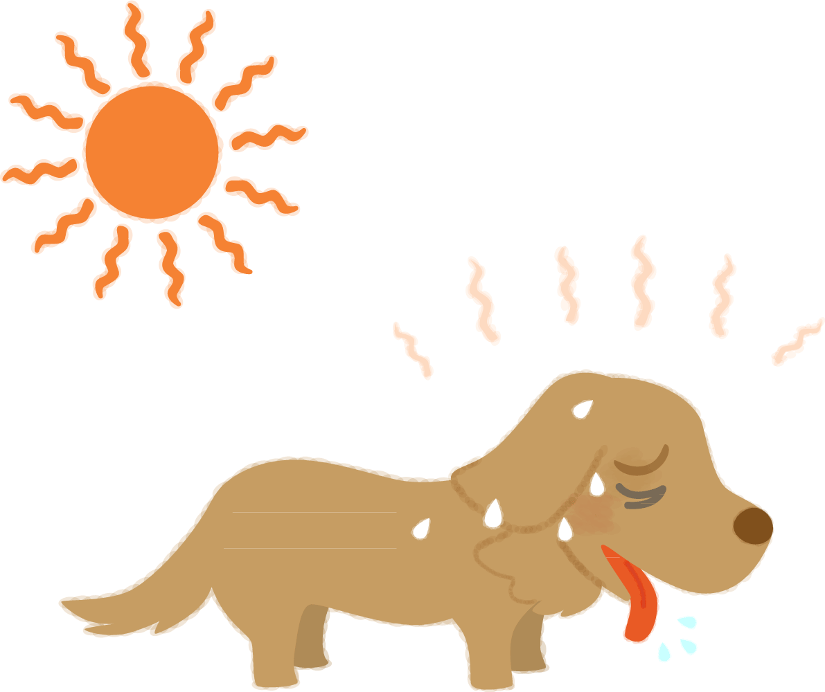 Introducing Preventive Measures for Heat Stroke and Causes of Panting in Petsイメージ