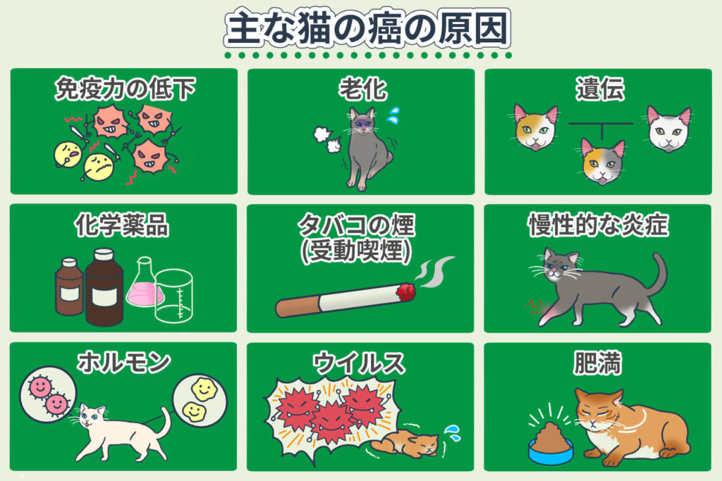 Main Causes of Cancer in Cats