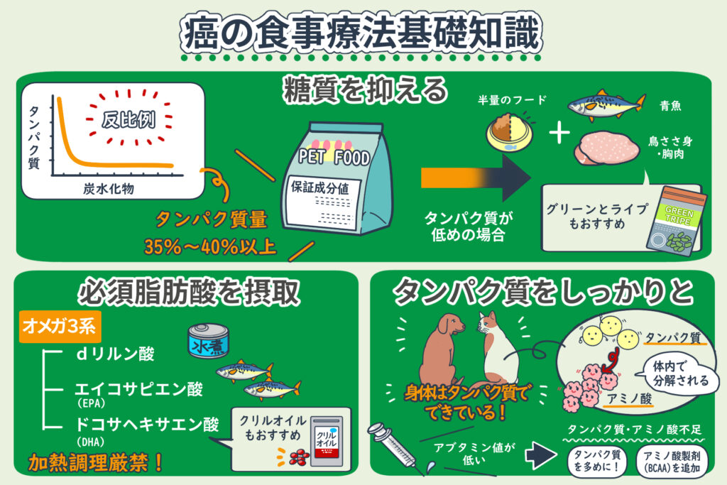 Basic Knowledge of Cancer Dietary Therapy