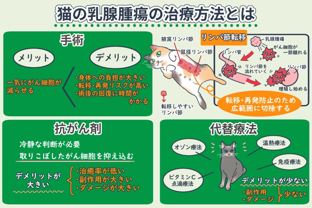 Treatment Methods for Feline Mammary Tumors