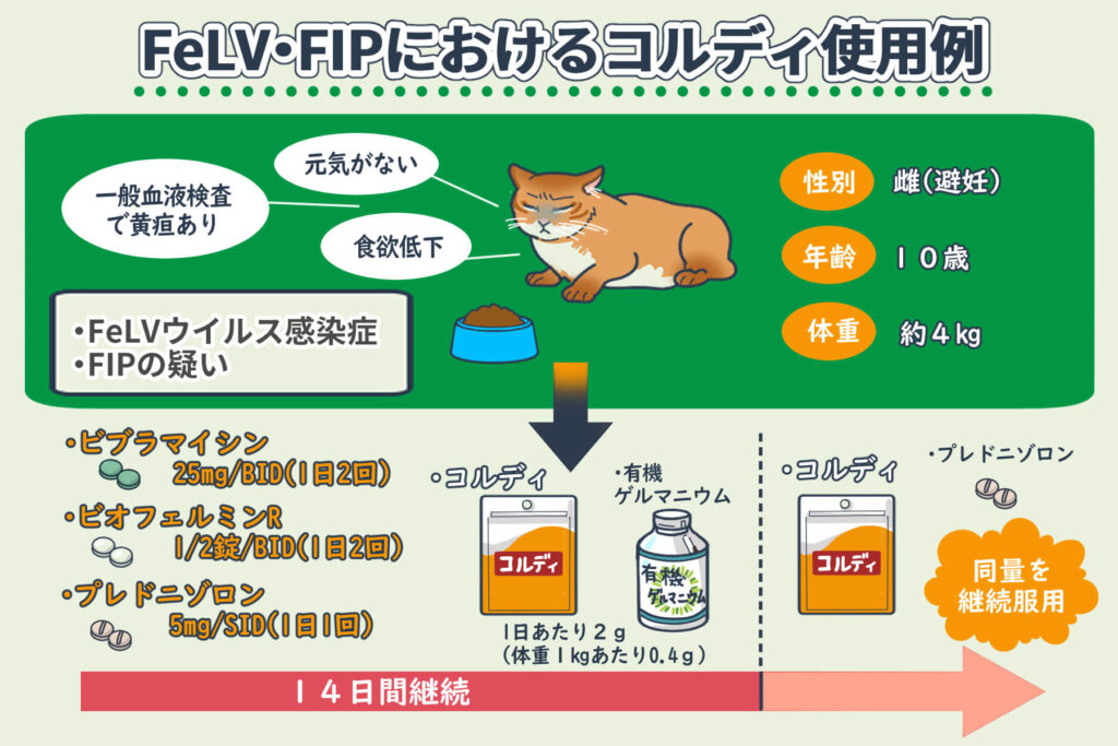 Cordy usage in FeLV and FIP