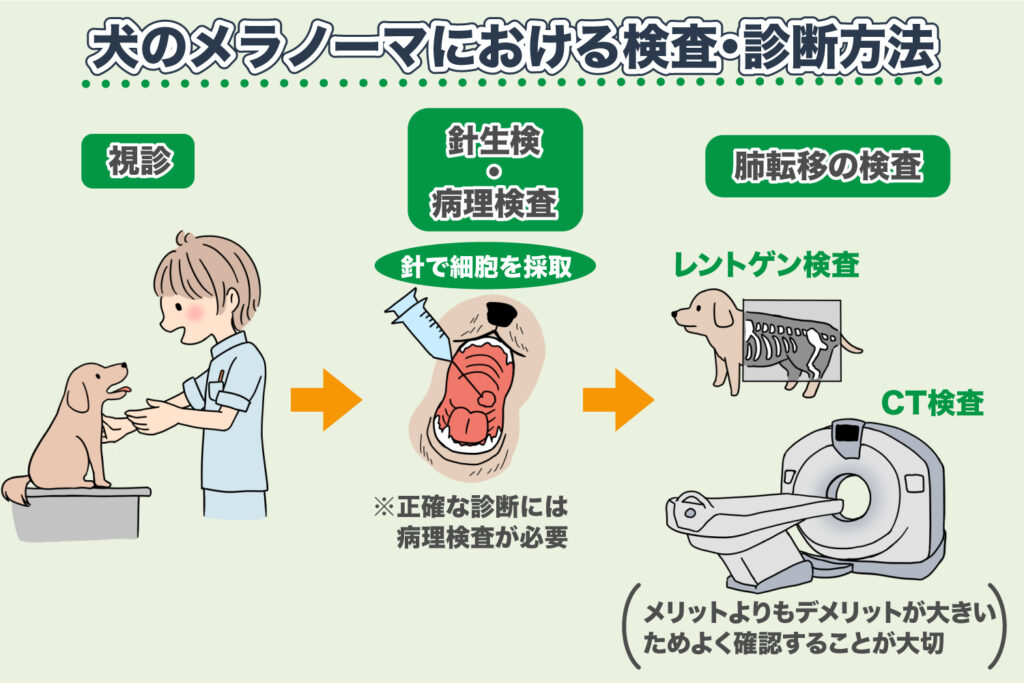 Methods of Examination and Diagnosis for Melanoma