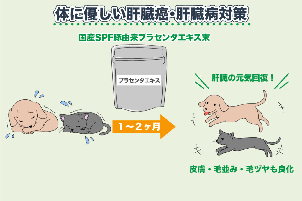 Liver Cancer and Liver Disease Measures That Do Not Burden the Body