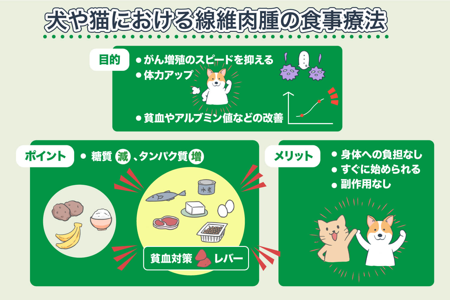 Diet Therapy for Dogs and Cats with Fibrosarcoma That Can Be Done at Home